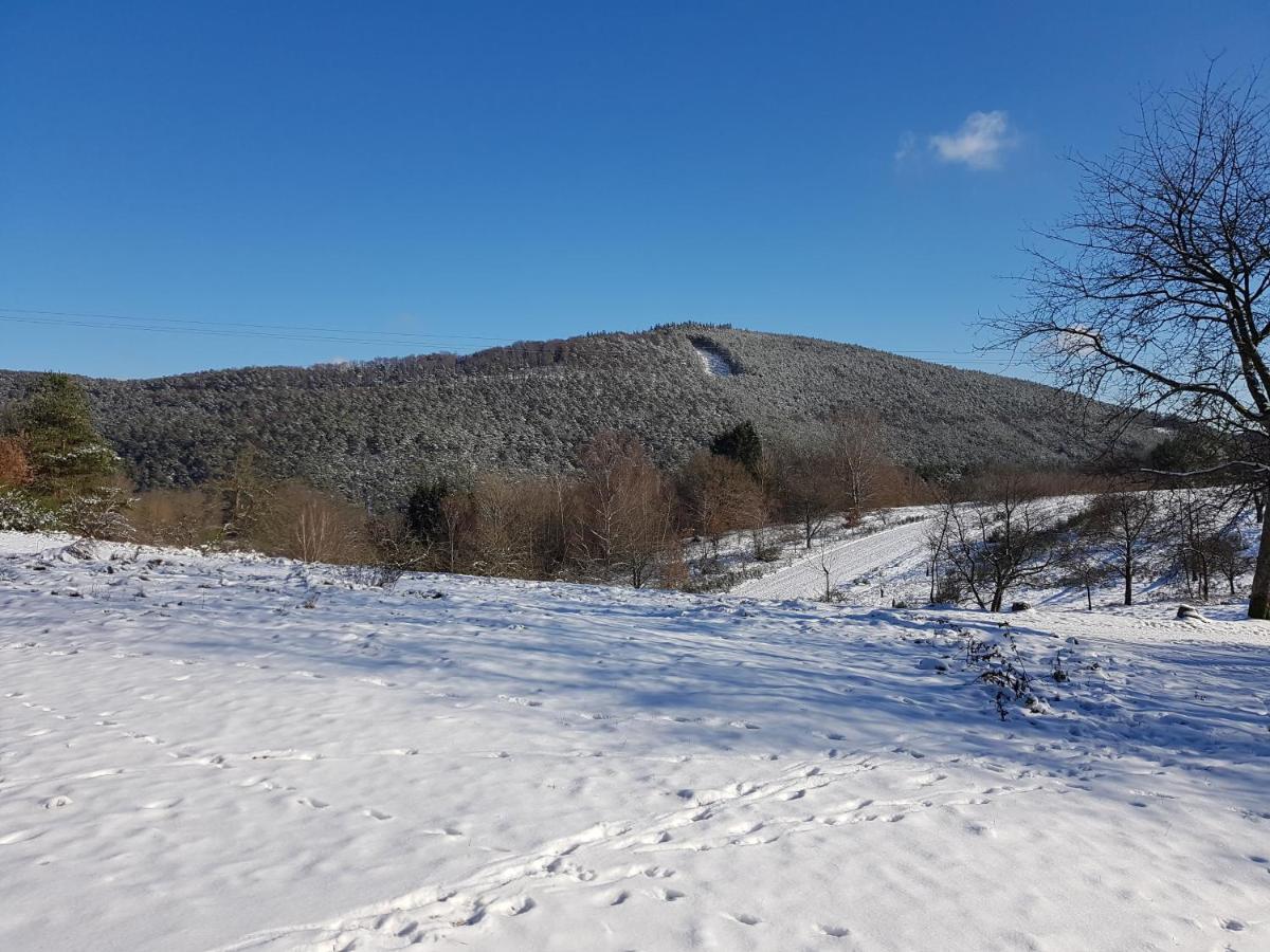Hoellenbergblick Spirkelbach Extérieur photo